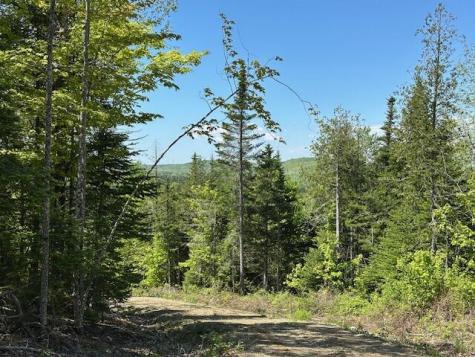 Lot 10 Mt. Jefferson Heights Lee ME 04455