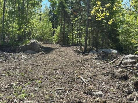 Lot 10 Mt. Jefferson Heights Lee ME 04455