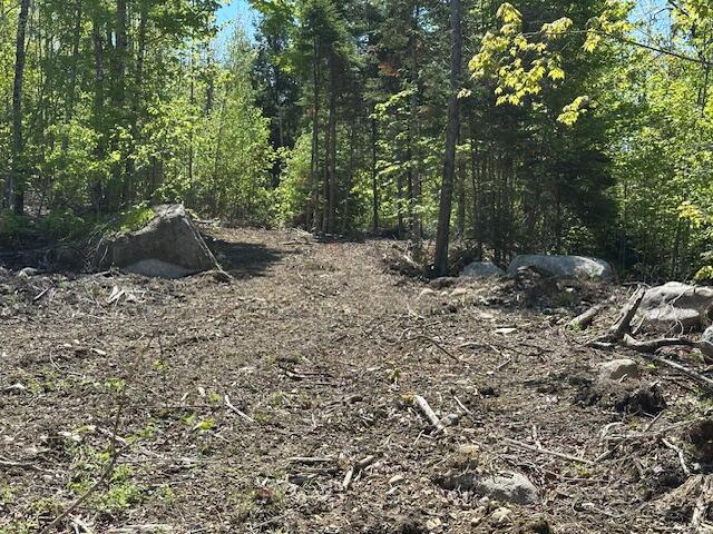 Lot 10 Mt. Jefferson Heights Lee ME 04455