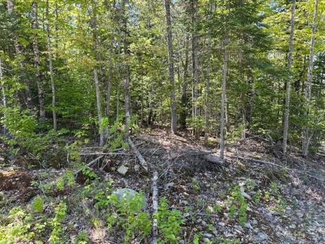 Lot 10 Mt. Jefferson Heights Lee ME 04455