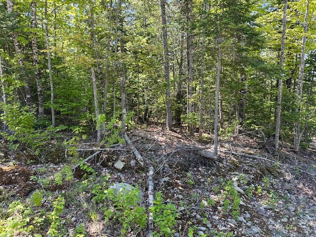 Lot 10 Mt. Jefferson Heights Lee ME 04455