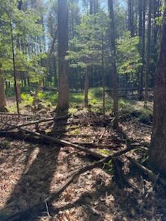 0 Tuttle Lane Bridgton ME 04009