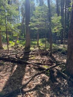 0 Tuttle Lane Bridgton ME 04009