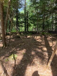0 Tuttle Lane Bridgton ME 04009
