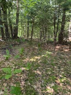 0 Tuttle Lane Bridgton ME 04009