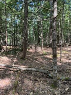 0 Tuttle Lane Bridgton ME 04009