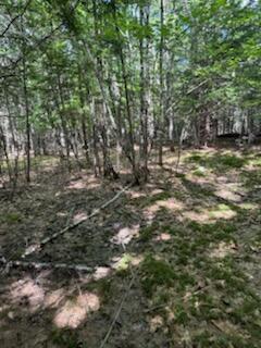 0 Tuttle Lane Bridgton ME 04009