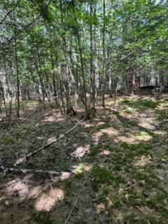 0 Tuttle Lane Bridgton ME 04009