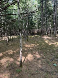 0 Tuttle Lane Bridgton ME 04009
