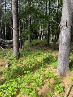0 Tuttle Lane Bridgton ME 04009