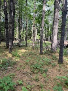 0 Tuttle Lane Bridgton ME 04009