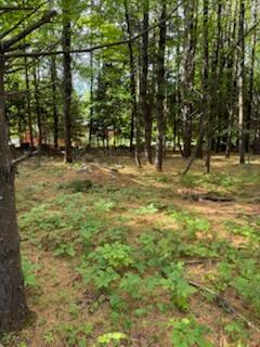 0 Tuttle Lane Bridgton ME 04009