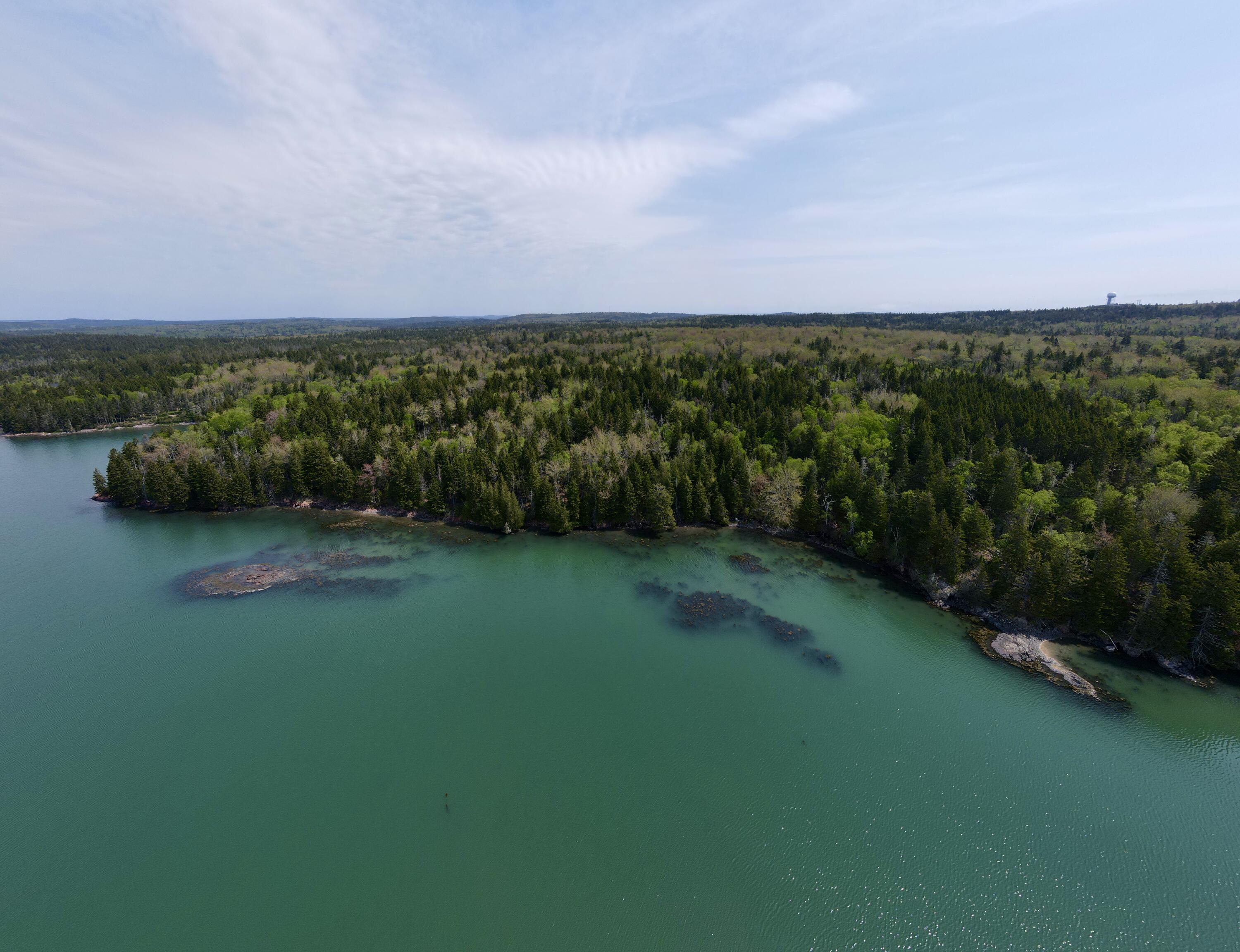 Lot 15 Collins Cove Road Machiasport ME 04655