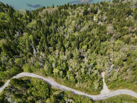 Lot 15 Collins Cove Road Machiasport ME 04655