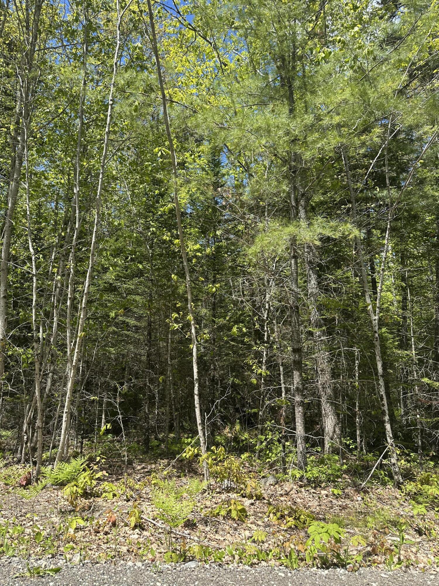 LOT#10 Shamrock Lane Damariscotta ME 04543