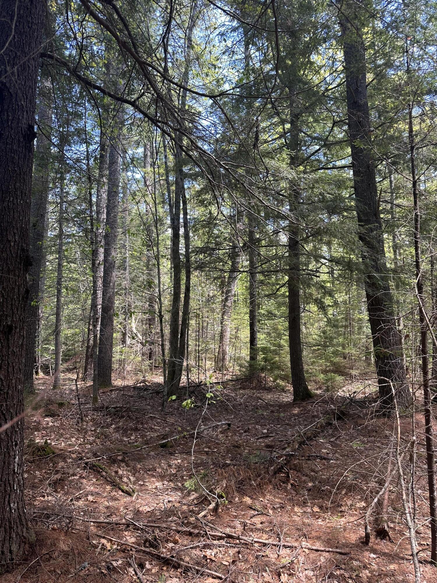 LOT#10 Shamrock Lane Damariscotta ME 04543