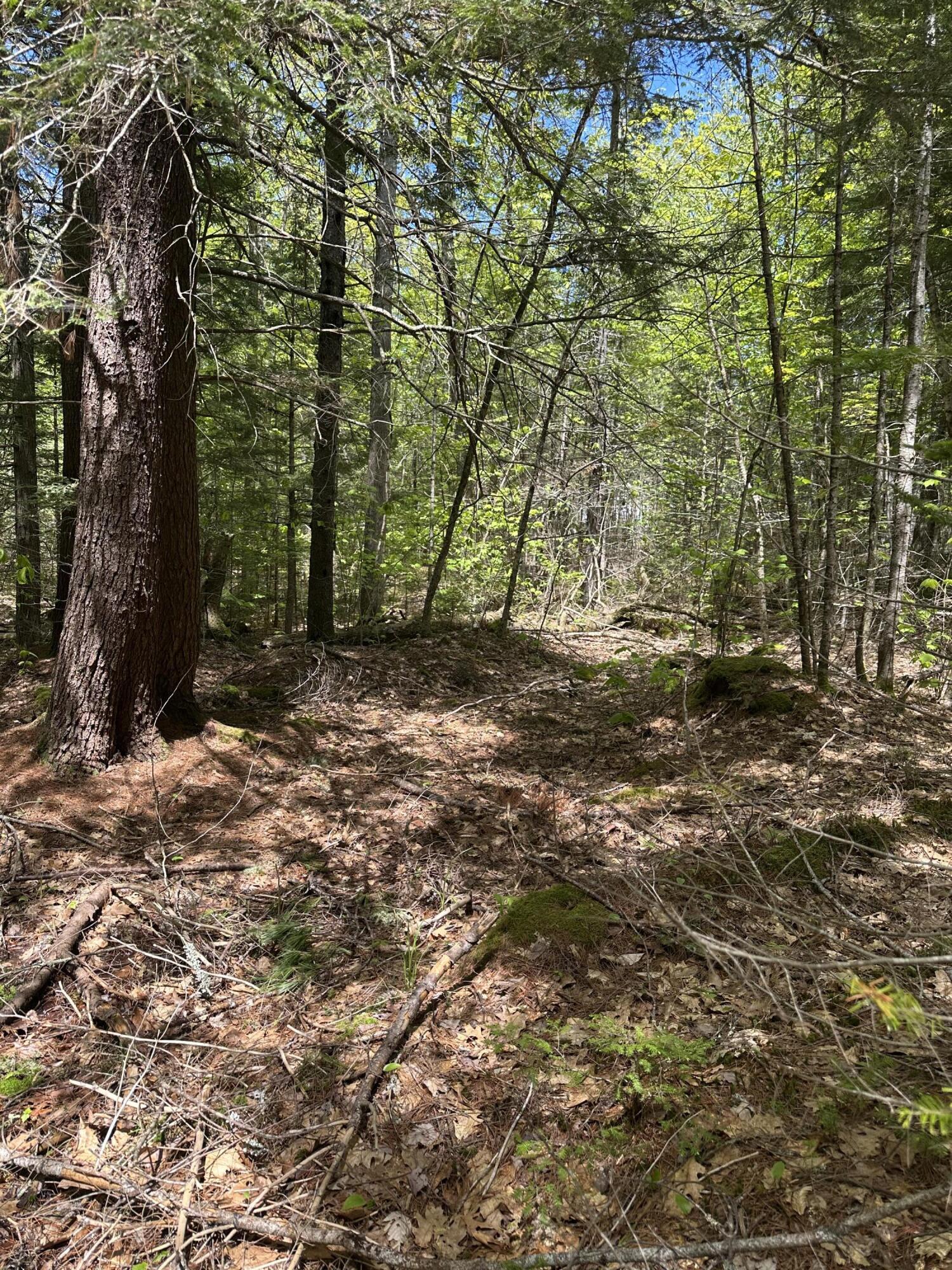 LOT#10 Shamrock Lane Damariscotta ME 04543