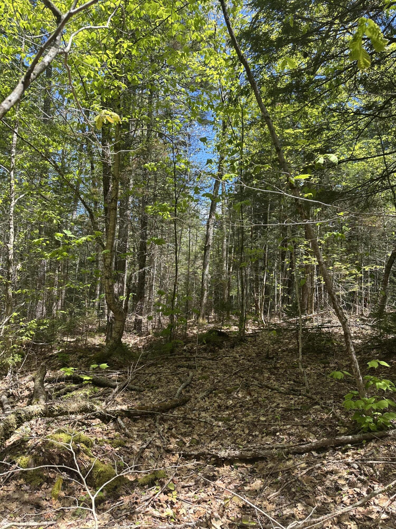 LOT#10 Shamrock Lane Damariscotta ME 04543