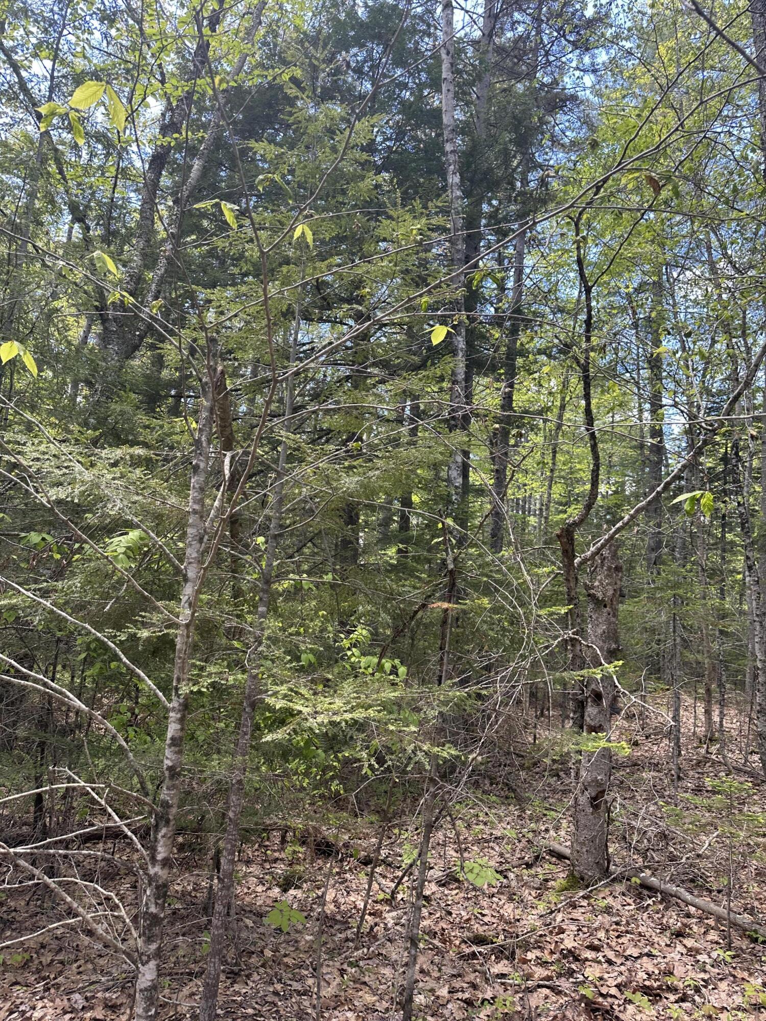 LOT#10 Shamrock Lane Damariscotta ME 04543