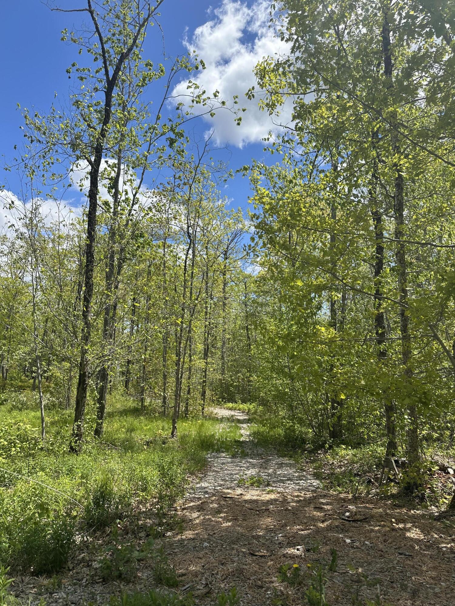 LOT#10 Shamrock Lane Damariscotta ME 04543