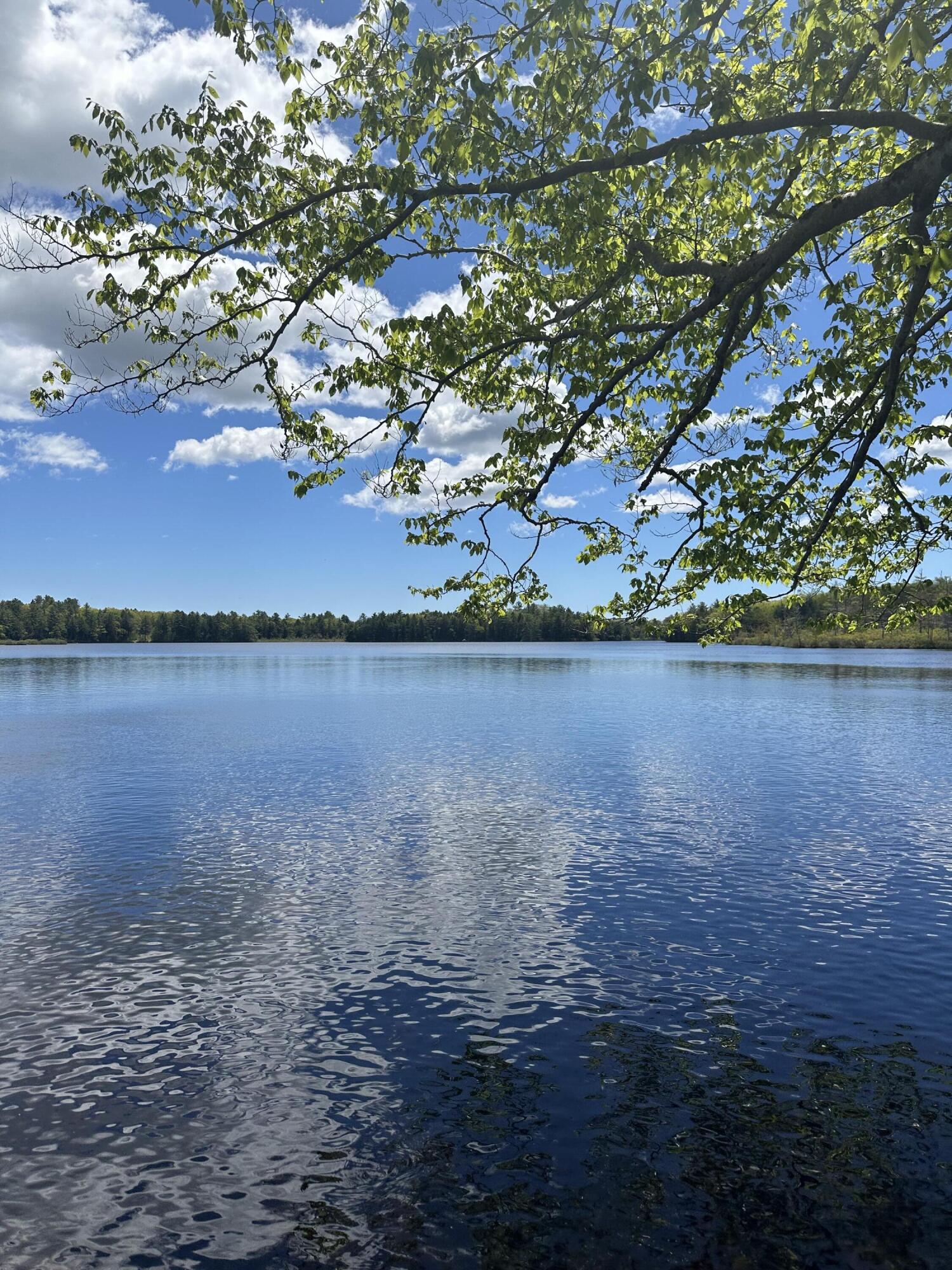 LOT#10 Shamrock Lane Damariscotta ME 04543