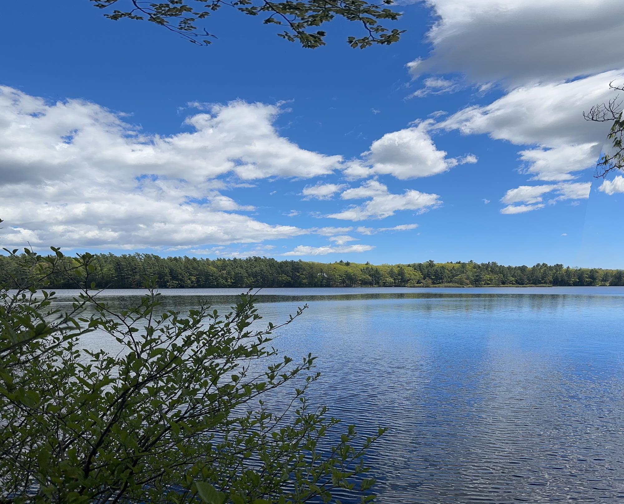 LOT#10 Shamrock Lane Damariscotta ME 04543