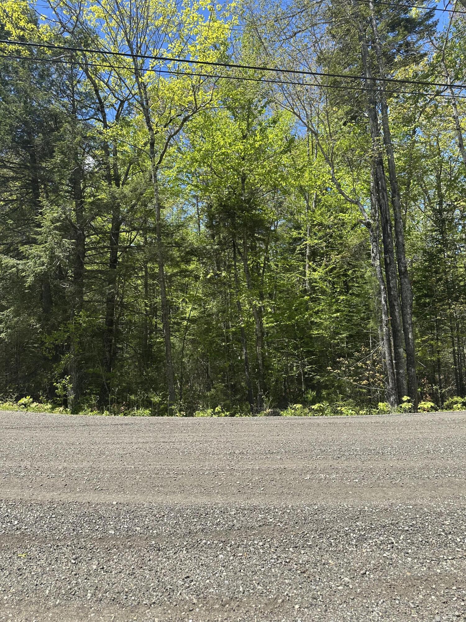 LOT#10 Shamrock Lane Damariscotta ME 04543