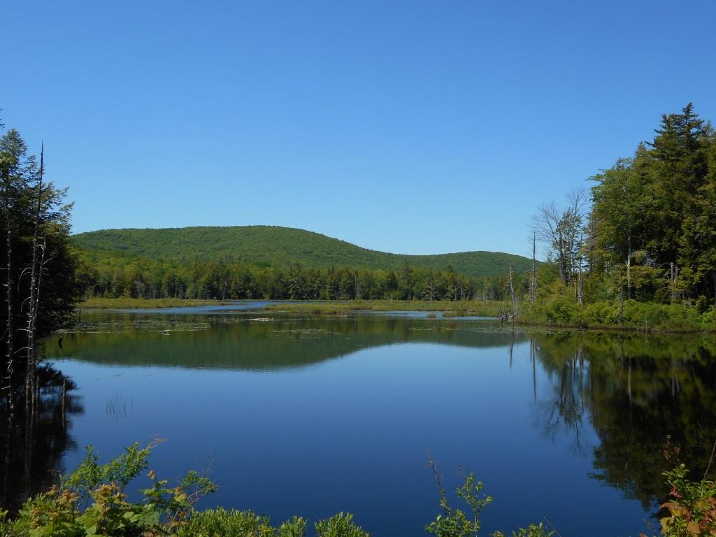M9 L14 Drake Pond Road Jackson Maine Real Estate Listing MLS 1490487