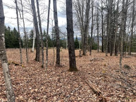 M7L67-11 Amber Road Rangeley ME 04970