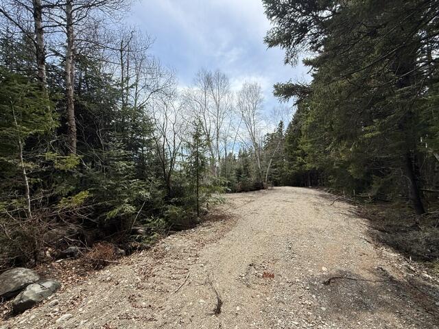 Lot 5 Holmes Bay Farms Road Whiting ME 04691