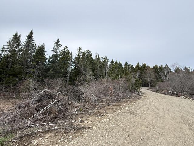 Lot 5 Holmes Bay Farms Road Whiting ME 04691