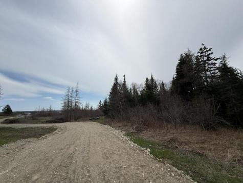 Lot 5 Holmes Bay Farms Road Whiting ME 04691