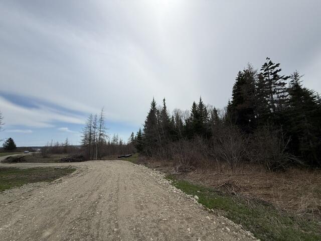 Lot 5 Holmes Bay Farms Road Whiting ME 04691