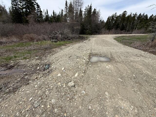 Lot 5 Holmes Bay Farms Road Whiting ME 04691