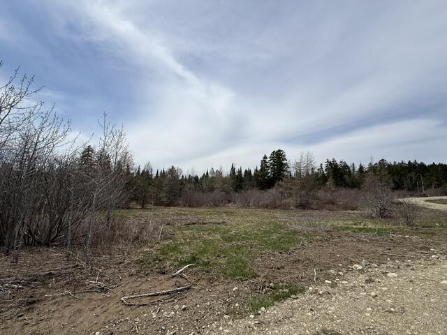 Lot 5 Holmes Bay Farms Road Whiting ME 04691