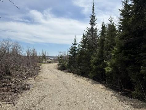 Lot 5 Holmes Bay Farms Road Whiting ME 04691