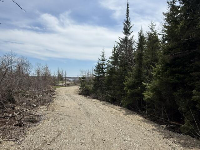 Lot 5 Holmes Bay Farms Road Whiting ME 04691