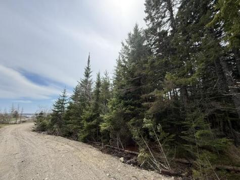 Lot 5 Holmes Bay Farms Road Whiting ME 04691