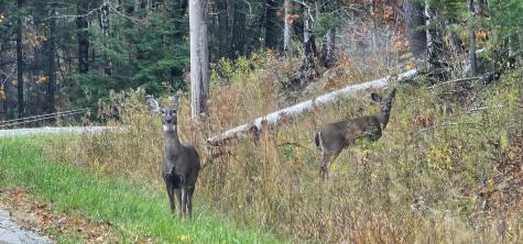 10 Lake Vista Drive Oakland ME 04963