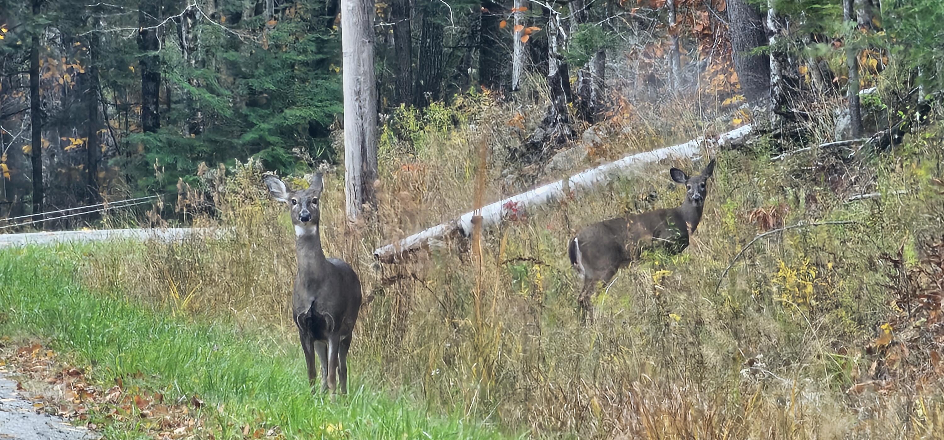 10 Lake Vista Drive Oakland ME 04963