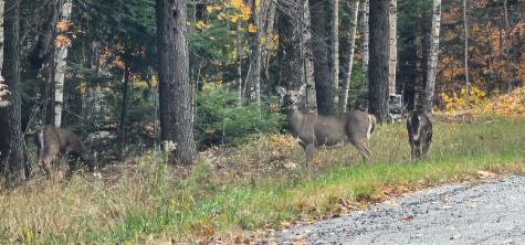 10 Lake Vista Drive Oakland ME 04963