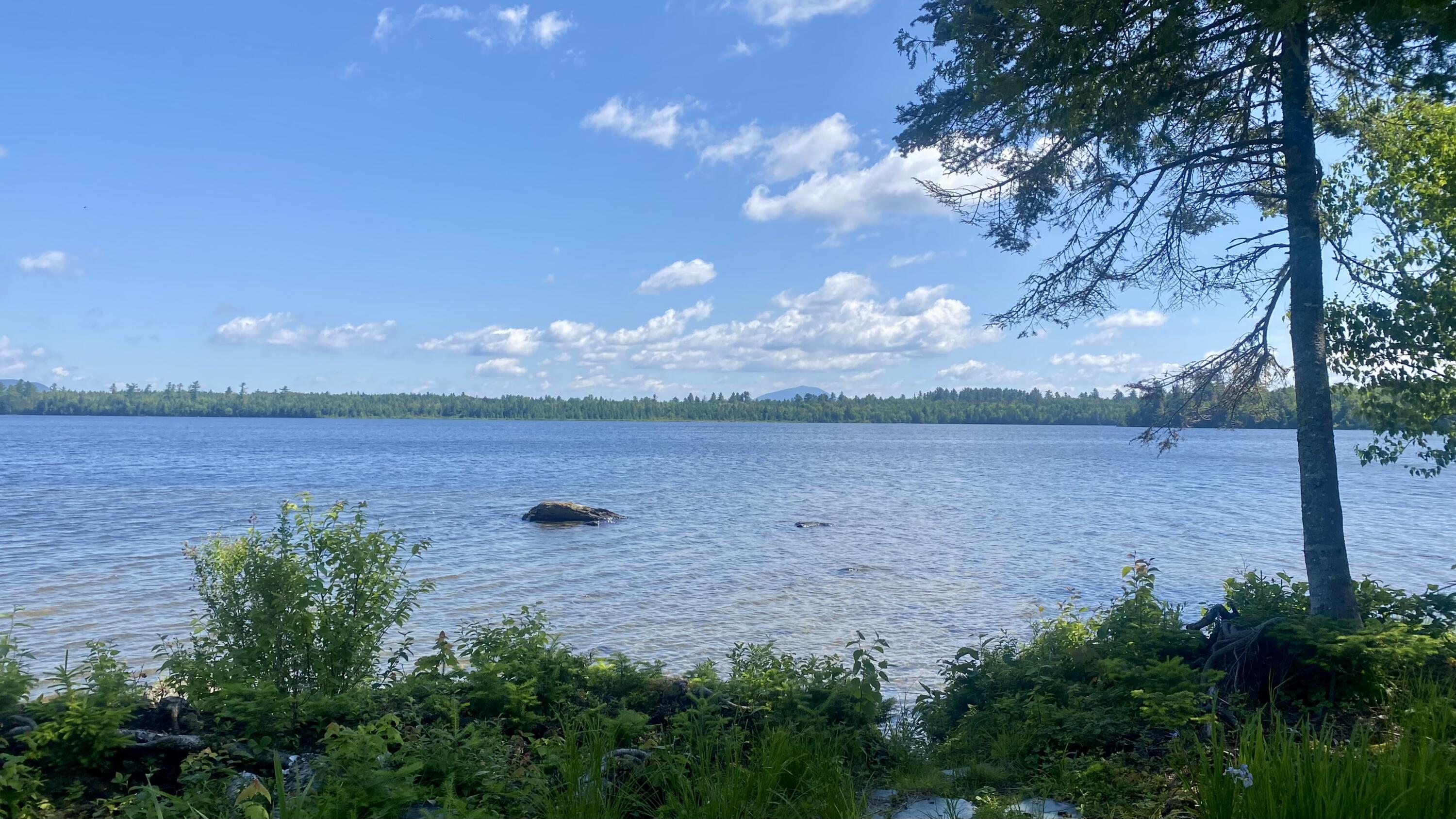 Lot S4 South Watson Island Road Sandbar Tract Twp ME 04478