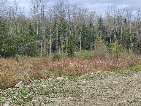 29 Drew Lane Newport ME 04953