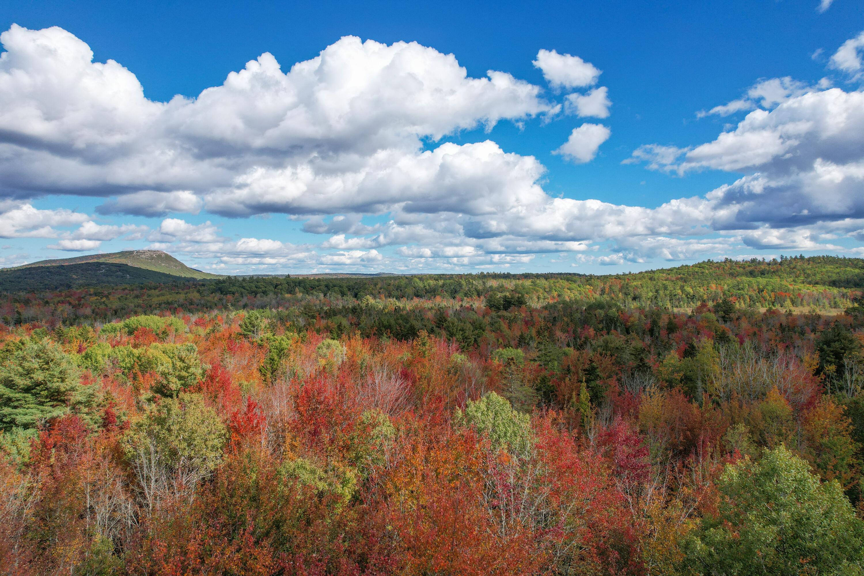 535 Bert Gray Road Sullivan ME 04664