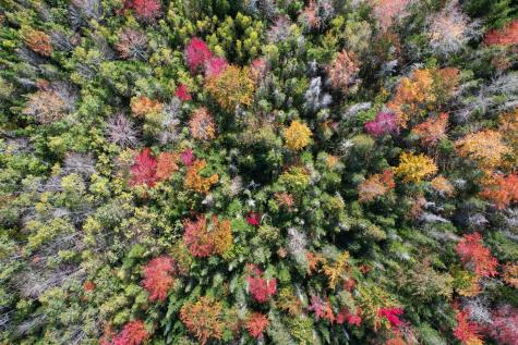 535 Bert Gray Road Sullivan ME 04664