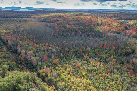 535 Bert Gray Road Sullivan ME 04664