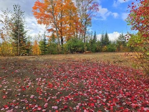 Lot 28a.1 East Madrid Road Phillips ME 04966