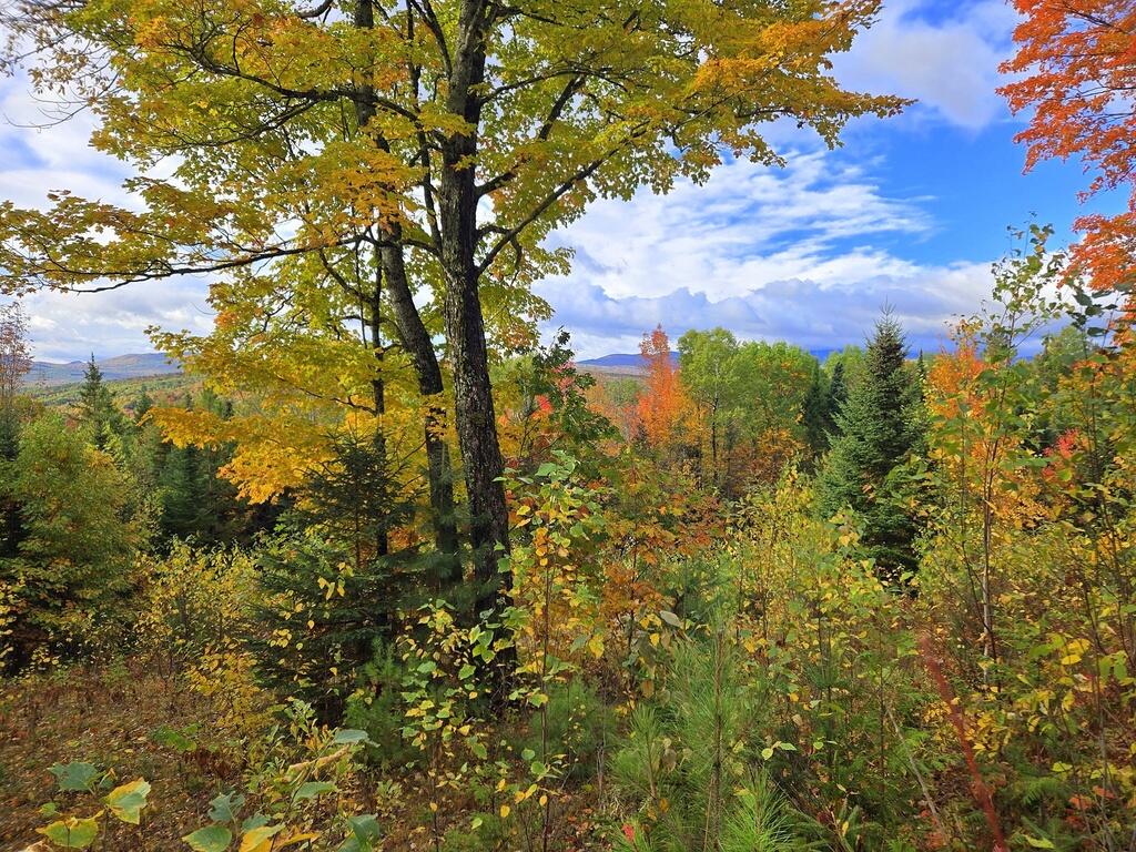 Lot 28a.1 East Madrid Road Phillips ME 04966