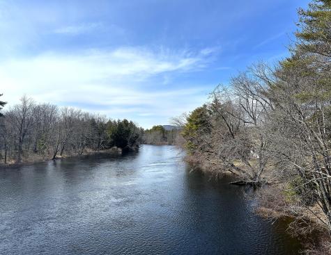 Lot #02 North Road Parsonsfield ME 04047