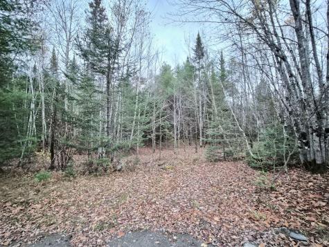 MR17 L7 Holley Road Farmington ME 04938